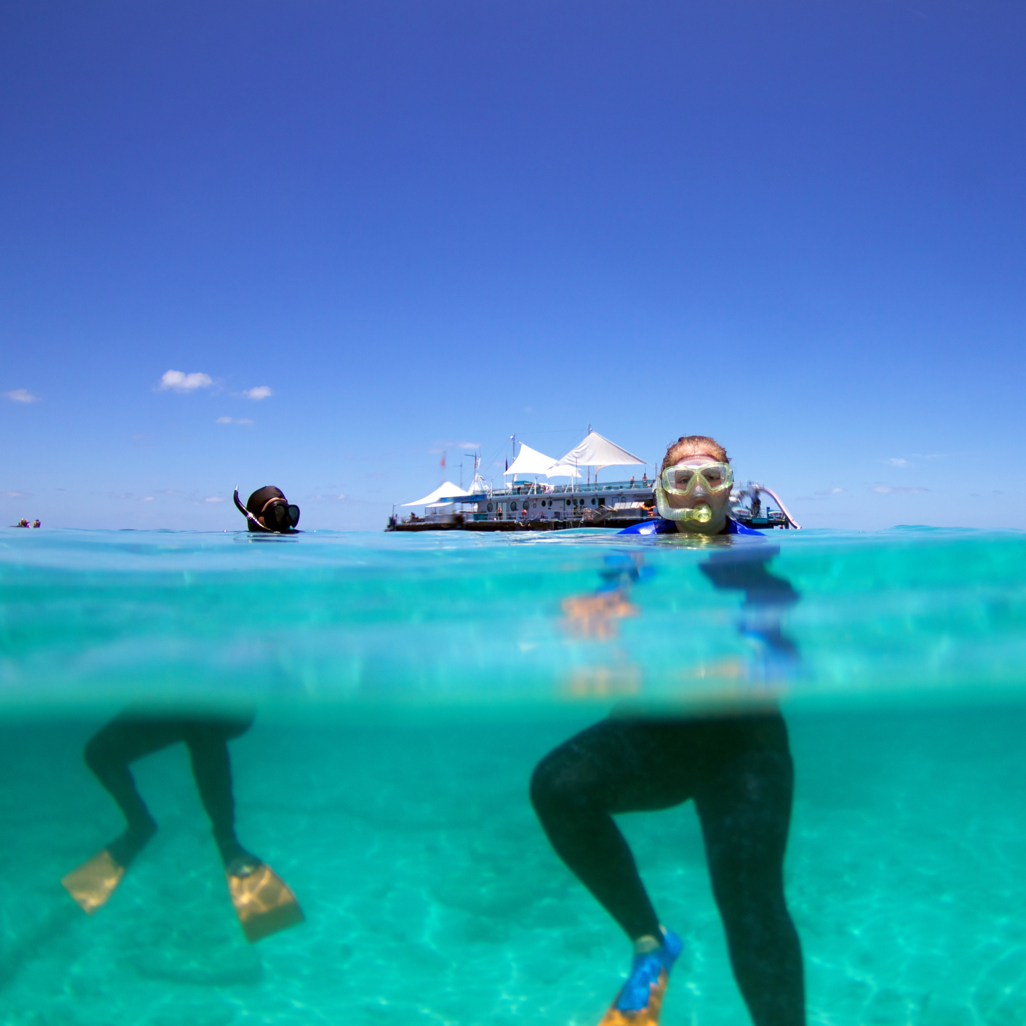 Swimming & Snorkelling Adventures in Paradise